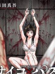 波雅汉库克角色档案立绘